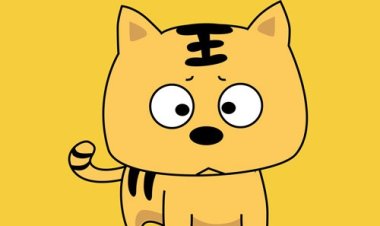 Giải mã vận mệnh người tuổi Kỷ Mão theo Lục Thập Hoa Giáp