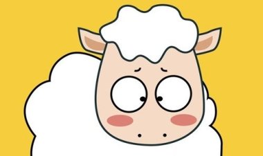 Giải mã vận mệnh người tuổi Quý Mùi theo Lục Thập Hoa Giáp