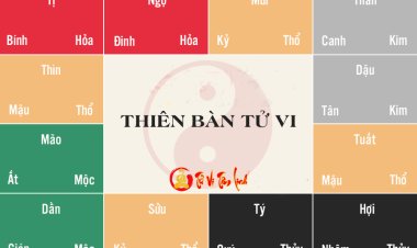 Can Chi là gì? Giải mã ý nghĩa 10 Thiên Can và 12 Địa Chi trong tử vi phong thủy