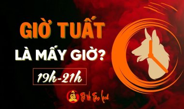 Giờ Tuất là mấy giờ? Điểm đáng lưu ý trong tính cách và vận trình người sinh giờ Tuất