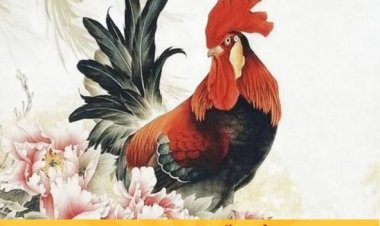 Giờ Dậu là mấy giờ? Khám phá tính cách và vận trình người sinh giờ Dậu