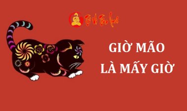 Giờ Mão là mấy giờ? Tiết lộ tính cách và vận mệnh người sinh giờ Mão
