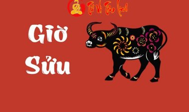 Giờ Sửu là mấy giờ? Giải đáp về tính cách và vận mệnh người sinh vào giờ Sửu