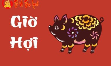 Giờ Hợi là mấy giờ? Người sinh giờ Hợi có tính cách và vận trình biến động ra sao?