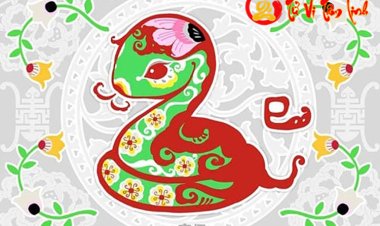 Giải mã vận mệnh của người tuổi Đinh Tỵ theo Lục Thập Hoa Giáp