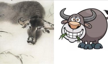 Giải mã vận mệnh người tuổi Quý Sửu theo Lục Thập Hoa Giáp