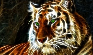 Giải mã vận mệnh người tuổi Nhâm Dần theo Lục Thập Hoa Giáp