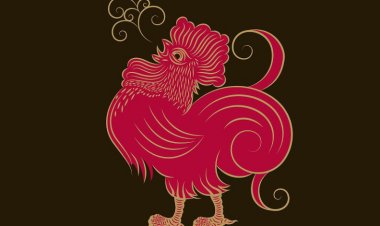 Giải mã vận mệnh người tuổi Đinh Dậu theo Lục Thập Hoa Giáp