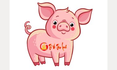 Giải mã vận mệnh người tuổi Đinh Hợi theo Lục Thập Hoa Giáp