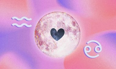 Song Ngư và Bảo Bình có hợp nhau không?