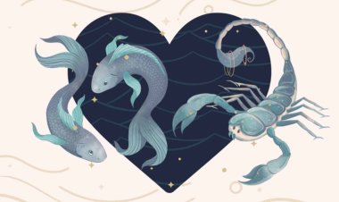 Song Ngư và Thiên Yết có hợp nhau không?