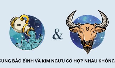 Bảo Bình và Kim Ngưu có hợp nhau không?