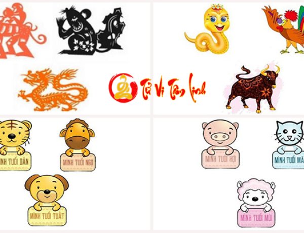 Tam hợp là gì, Tam hợp hóa Tam Tai có thực sự ghê gớm như nhiều người vẫn nghĩ?