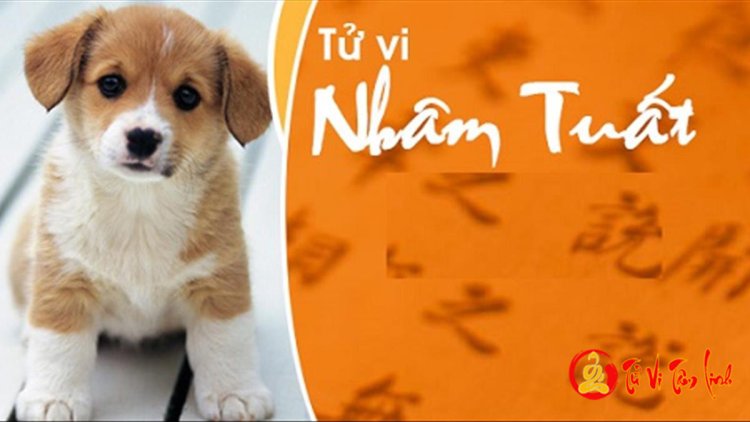 Giải mã vận mệnh người tuổi Nhâm Tuất theo Lục Thập Hoa Giáp