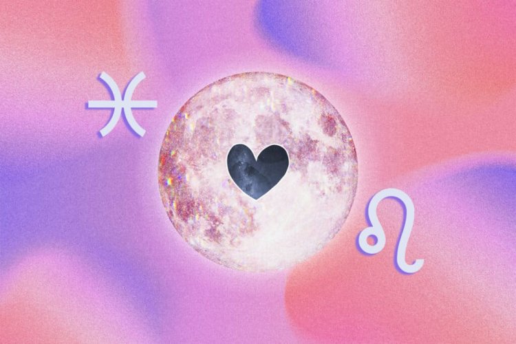 Song Ngư và Sư Tử có hợp nhau không?