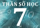 Số chủ đạo số 7 trong thần số học là gì? Đặc điểm nổi bật và ý nghĩa số 7 trong các chỉ số