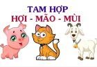 Tam hợp Hợi Mão Mùi - Bộ ba lịch thiệp và ngoại giao tốt