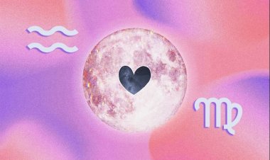 Cung Bảo Bình và cung Xử Nữ có hợp nhau không?