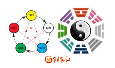 Âm Dương Ngũ Hành là gì? Những điều cơ bản về Âm Dương Ngũ Hành ai cũng cần biết