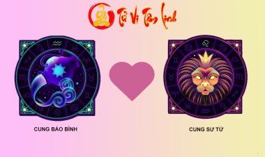 Bảo Bình và Sư Tử có hợp nhau không?