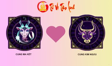 Ma Kết và Kim Ngưu có hợp nhau không?