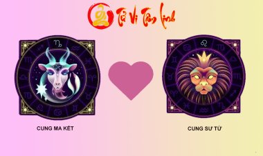 Ma Kết và Sư Tử có hợp nhau không?