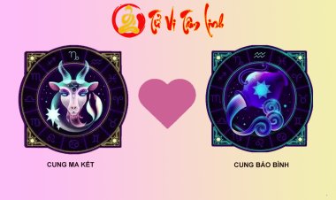 Ma Kết và Bảo Bình có hợp nhau không?