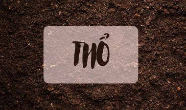Hành Thổ là gì? Những đặc trưng cơ bản nhất cần phải nắm về hành Thổ