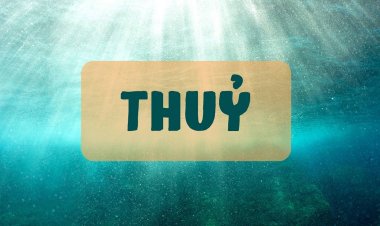 Hành Thủy là gì? Những đặc trưng cơ bản nhất của hành Thủy