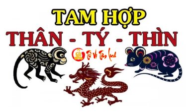 Tam Hợp Tuổi Thân – Tý – Thìn: Bí Mật Và Ý Nghĩa Bạn Cần Biết