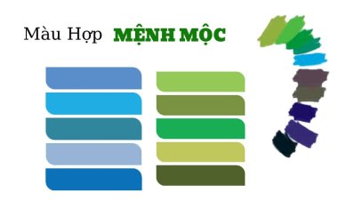 Mệnh Mộc hợp màu gì nhất, dùng màu sắc như thế nào để luôn gặp may mắn?