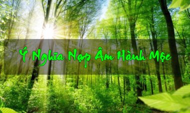 Tổng hợp ý nghĩa các nạp âm hành Mộc