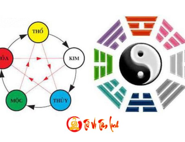 Âm Dương Ngũ Hành là gì? Những điều cơ bản về Âm Dương Ngũ Hành ai cũng cần biết