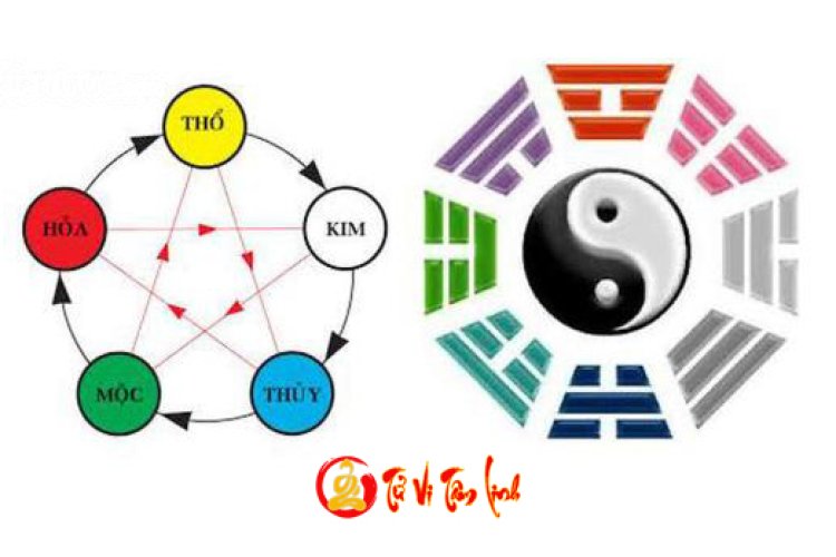 Âm Dương Ngũ Hành là gì? Những điều cơ bản về Âm Dương Ngũ Hành ai cũng cần biết