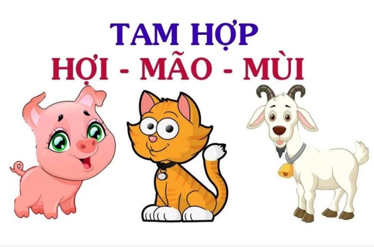 Tam hợp Hợi Mão Mùi - Bộ ba lịch thiệp và ngoại giao tốt