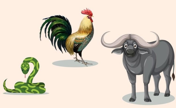 Tam hợp Tị Dậu Sửu - Bộ ba tri thức, khẳng định quyền uy