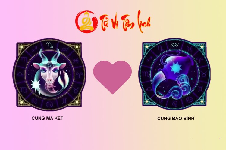 Ma Kết và Bảo Bình có hợp nhau không?