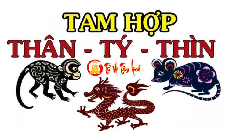 Tam Hợp Tuổi Thân – Tý – Thìn: Bí Mật Và Ý Nghĩa Bạn Cần Biết