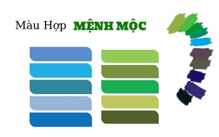 Mệnh Mộc hợp màu gì nhất, dùng màu sắc như thế nào để luôn gặp may mắn?