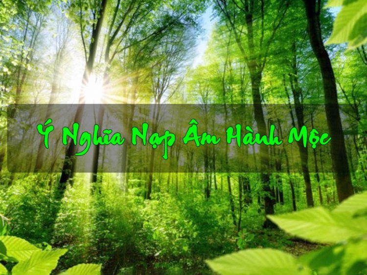 Tổng hợp ý nghĩa các nạp âm hành Mộc