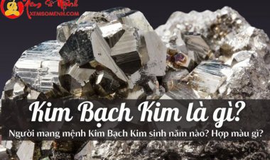 Mệnh Kim Bạch Kim là gì? Hợp màu gì, đi xe gì?