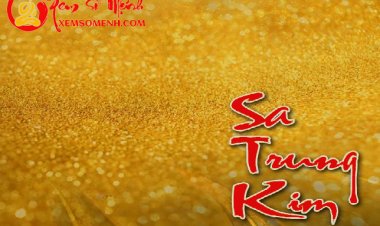 Mệnh Sa Trung Kim là gì? Họ có số mệnh ra sao? Tính cách ra sao