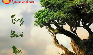 Mệnh Tùng Bách Mộc: Kiên cường ngay thẳng thì có giúp cuộc sống đủ đầy?