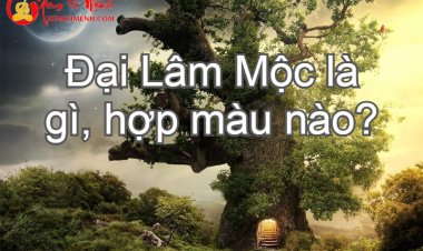 Mệnh Đại Lâm Mộc là gì? Có phải cứ kiên cường, giỏi giang thì cả đời suôn sẻ?