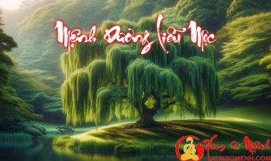 Mệnh Dương Liễu Mộc là gì? Cuộc đời người mệnh này sẽ đi về đâu?