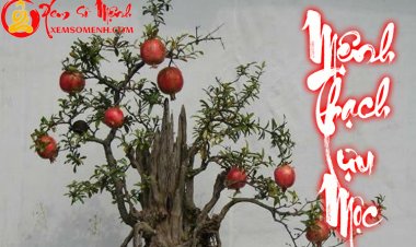 Mệnh Thạch Lựu Mộc: Sinh ra đã là kẻ kiên cường vươn lên không biết mệt mỏi