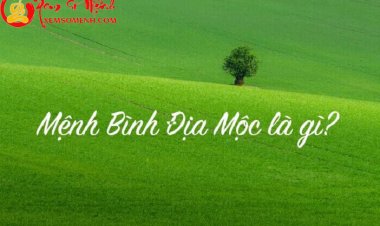 Mệnh Bình Địa Mộc là gì? Người mệnh Bình Địa Mộc có vận mệnh ra sao, cuộc đời thế nào?