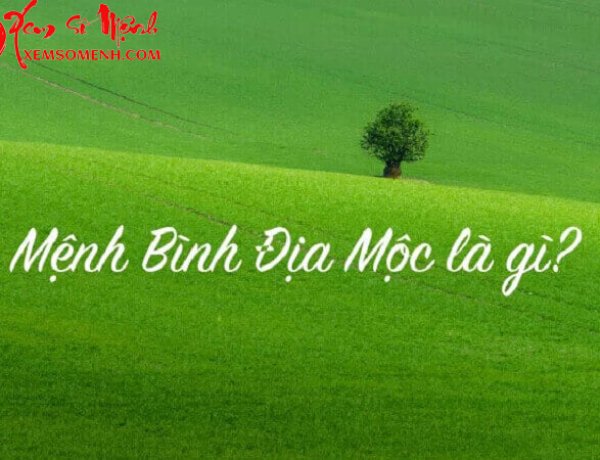 Mệnh Bình Địa Mộc là gì? Người mệnh Bình Địa Mộc có vận mệnh ra sao, cuộc đời thế nào?