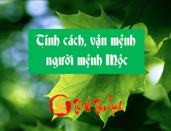 Tính cách người mệnh Mộc: thích lãnh đạo và hay nóng giận