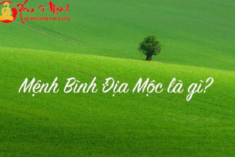 Mệnh Bình Địa Mộc là gì? Người mệnh Bình Địa Mộc có vận mệnh ra sao, cuộc đời thế nào?